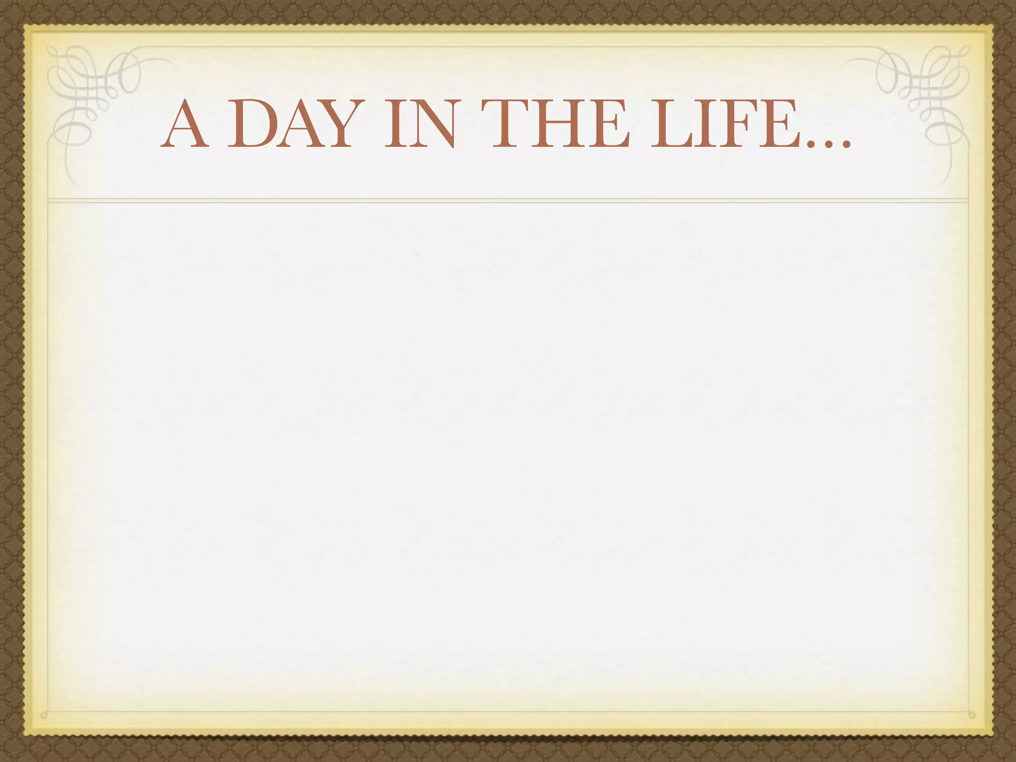 A DAY IN THE LIFE...
 