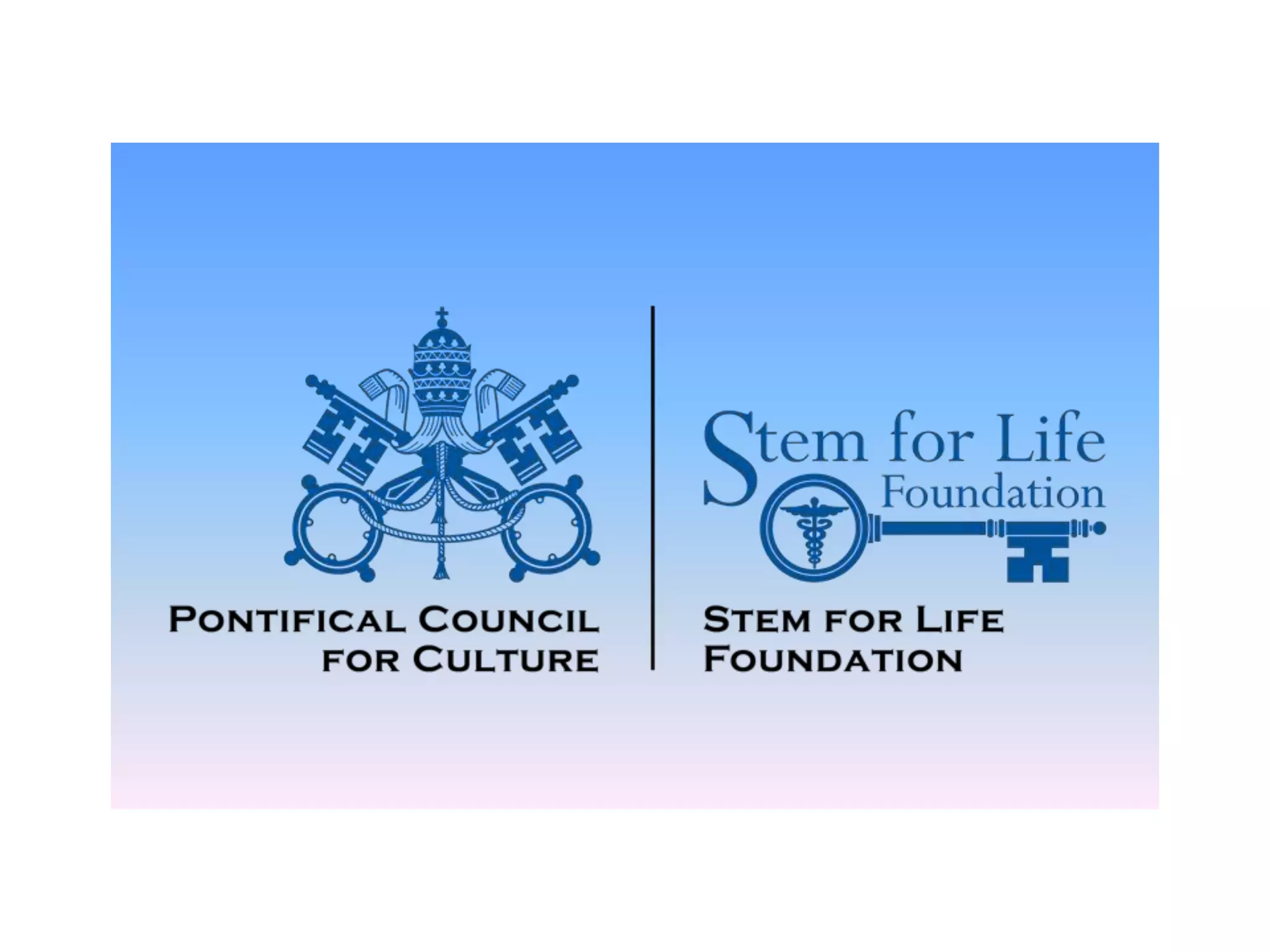 Sflf Student Journal