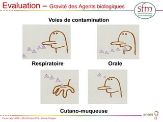 12
Forum Labo LYON – 28 & 29 mars 2018 – Cite de Congrès
Evaluation – Gravité des Agents biologiques
Respiratoire Orale
Voies de contamination
Cutano-muqueuse
 