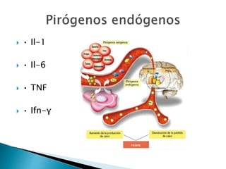  • Il-1
 • Il-6
 • TNF
 • Ifn-γ
 