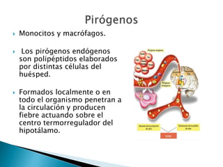  Monocitos y macrófagos.
 Los pirógenos endógenos
son polipéptidos elaborados
por distintas células del
huésped.
 Formados localmente o en
todo el organismo penetran a
la circulación y producen
fiebre actuando sobre el
centro termorregulador del
hipotálamo.
 