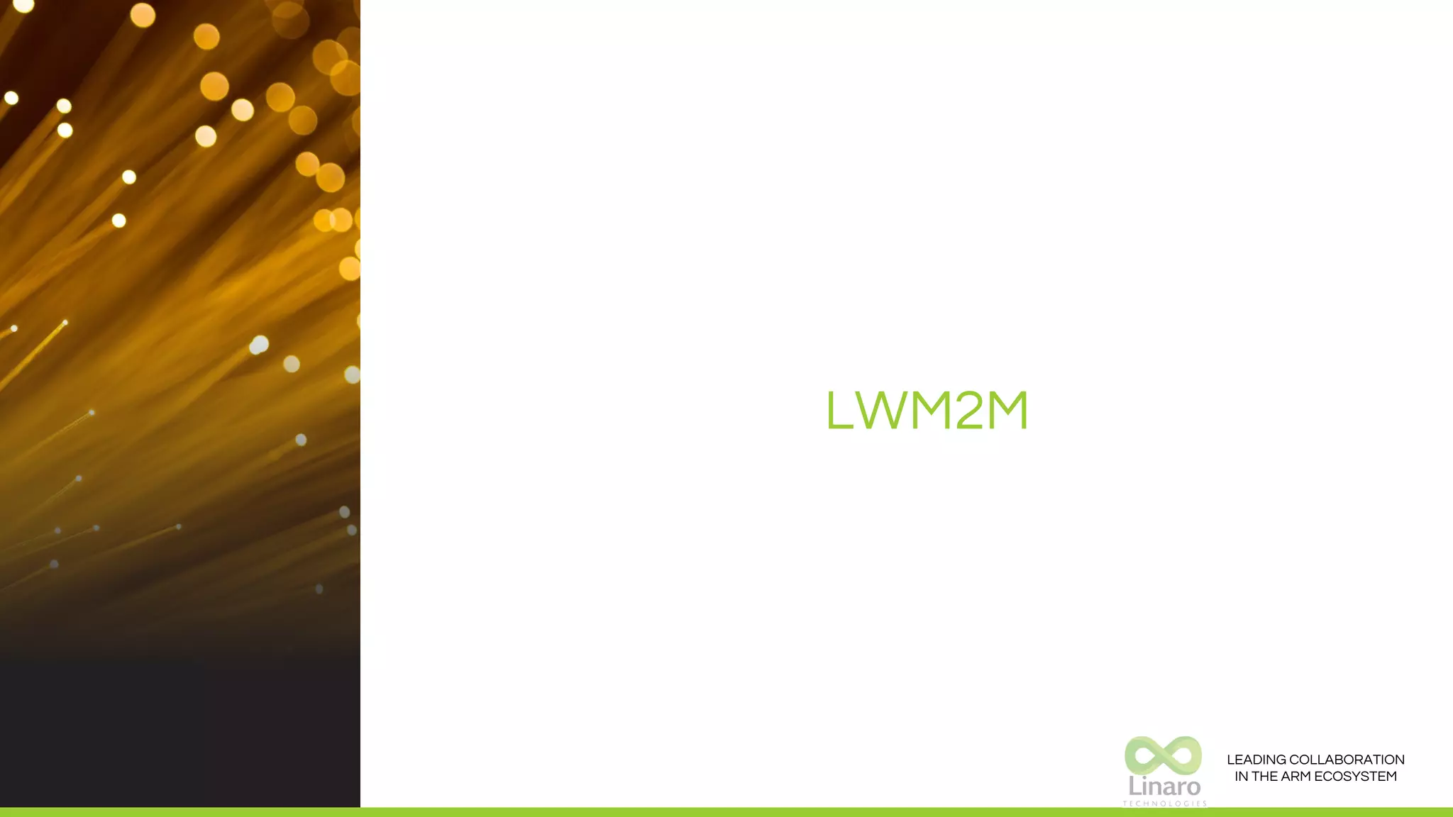 LEADING COLLABORATION
IN THE ARM ECOSYSTEM
LWM2M
 