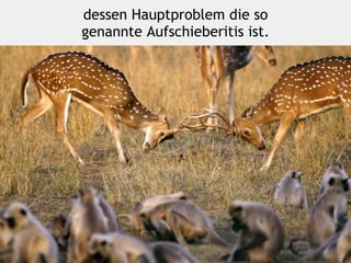 dessen Hauptproblem die so
genannte Aufschieberitis ist.
 