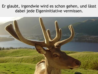 Er glaubt, irgendwie wird es schon gehen, und lässt
dabei jede Eigeninitiative vermissen.
 