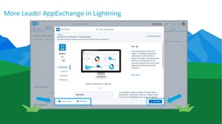 More Leads! AppExchange in Lightning
 