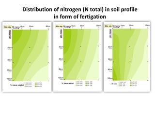 Fertigation for coffee through irrigation in Highland region | PDF