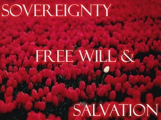 Sovereignty

   Free Will &


       Salvation
 