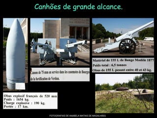 Canhões de grande alcance.
FOTOGRAFIAS DE ANABELA MATIAS DE MAGALHÃES
 