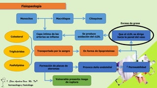 Fisiopaología
Colesterol
Triglicéridos
Fosfolípidos
Transportado por la sangre En forma de lipoproteínas
Formación de placas de
ateromas
Provoca daño endotelial  Permeabilidad
Que el cLDL se dirige
hacia la pared del vaso
Exceso de grasa
Se produce
oxidación del cLDL
Capa íntima de las
arterias se inflama
Monocitos Macrófagos Citoquinas
Vulnerable presenta riesgo
de ruptura
 