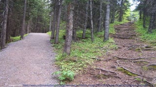 Image credit: https://www.conferencesthatwork.com/index.php/facilitating-change/2013/08/fear-of-change-at-the-fork-in-the-road/
 