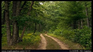 Image credit: http://www.markcassino.com/b2evolution/index.php?blog=2&disp=posts&paged=59
 