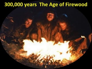 300,000 years The Age of Firewood
 