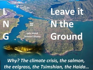 L
N
G
=
Leave it
N the
Ground
Why? The climate crisis, the salmon,
the eelgrass, the Tsimshian, the Haida…
Lelu Island
Skeena Estuary
 