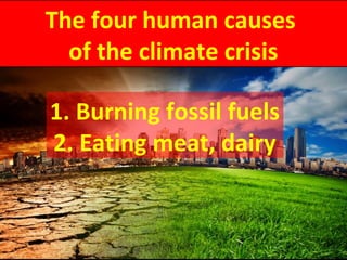 The four human causes
of the climate crisis
1. Burning fossil fuels
2. Eating meat, dairy
 
