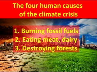 The four human causes
of the climate crisis
1. Burning fossil fuels
2. Eating meat, dairy
3. Destroying forests
 