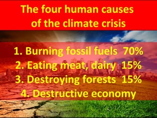 The four human causes
of the climate crisis
1. Burning fossil fuels 70%
2. Eating meat, dairy 15%
3. Destroying forests 15%
4. Destructive economy
 