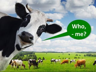 Who,
- me?
Who,
- me?
 