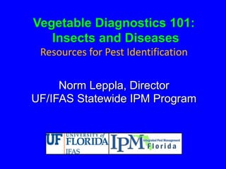 Vegetable Diagnostics 101:
Insects and Diseases
Resources for Pest Identification
Norm Leppla, Director
UF/IFAS Statewide IPM Program
 