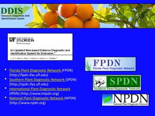 • Florida Plant Diagnostic Network (FPDN)
(http://fpdn.ifas.ufl.edu)
• Southern Plant Diagnostic Network (SPDN)
(http://sp...