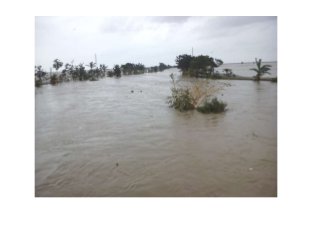 Desa tanjungtiga bencana 19 01-2014