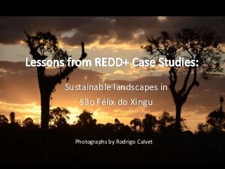 Sustainable landscapes in 
São Félix do Xingu 
Photographs by Rodrigo Calvet 
 