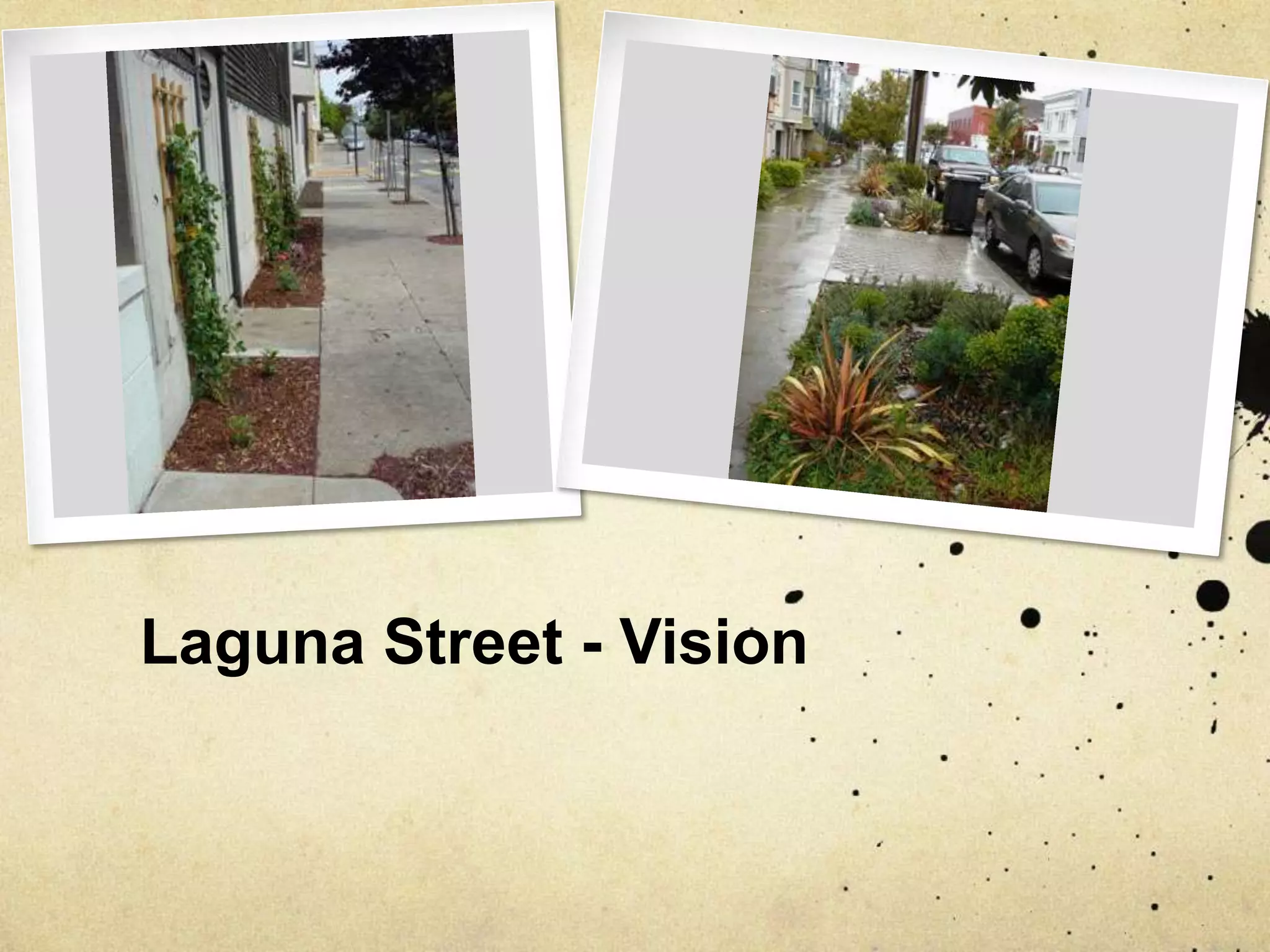 Laguna Street - Vision