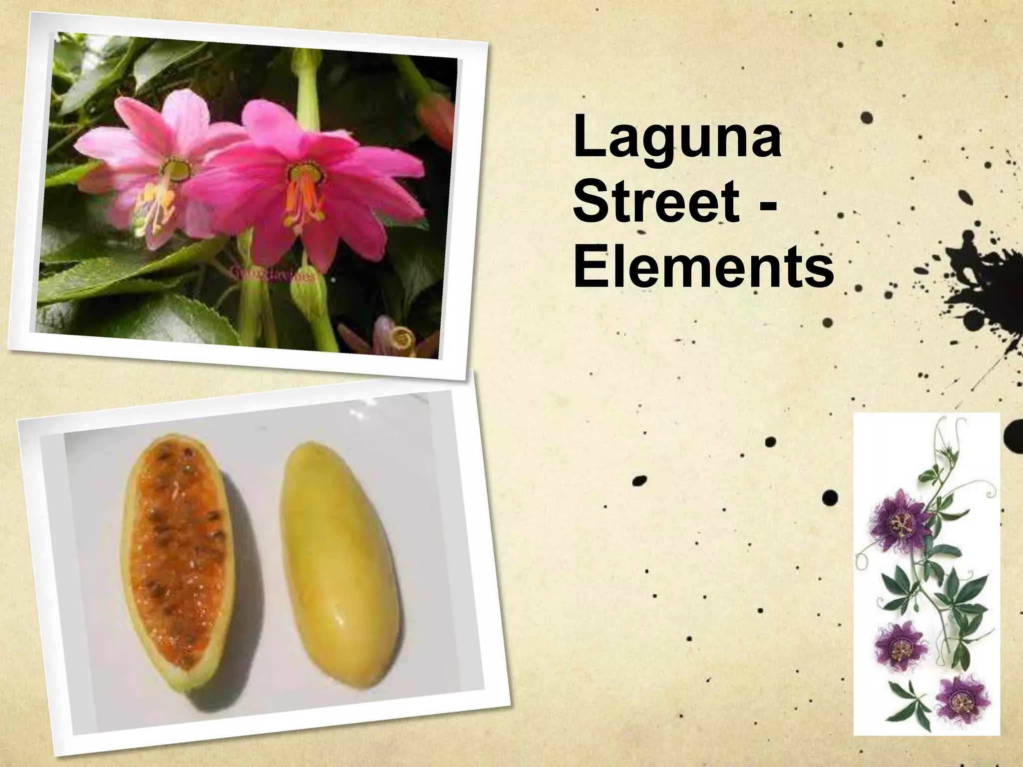 Laguna Street - Elements