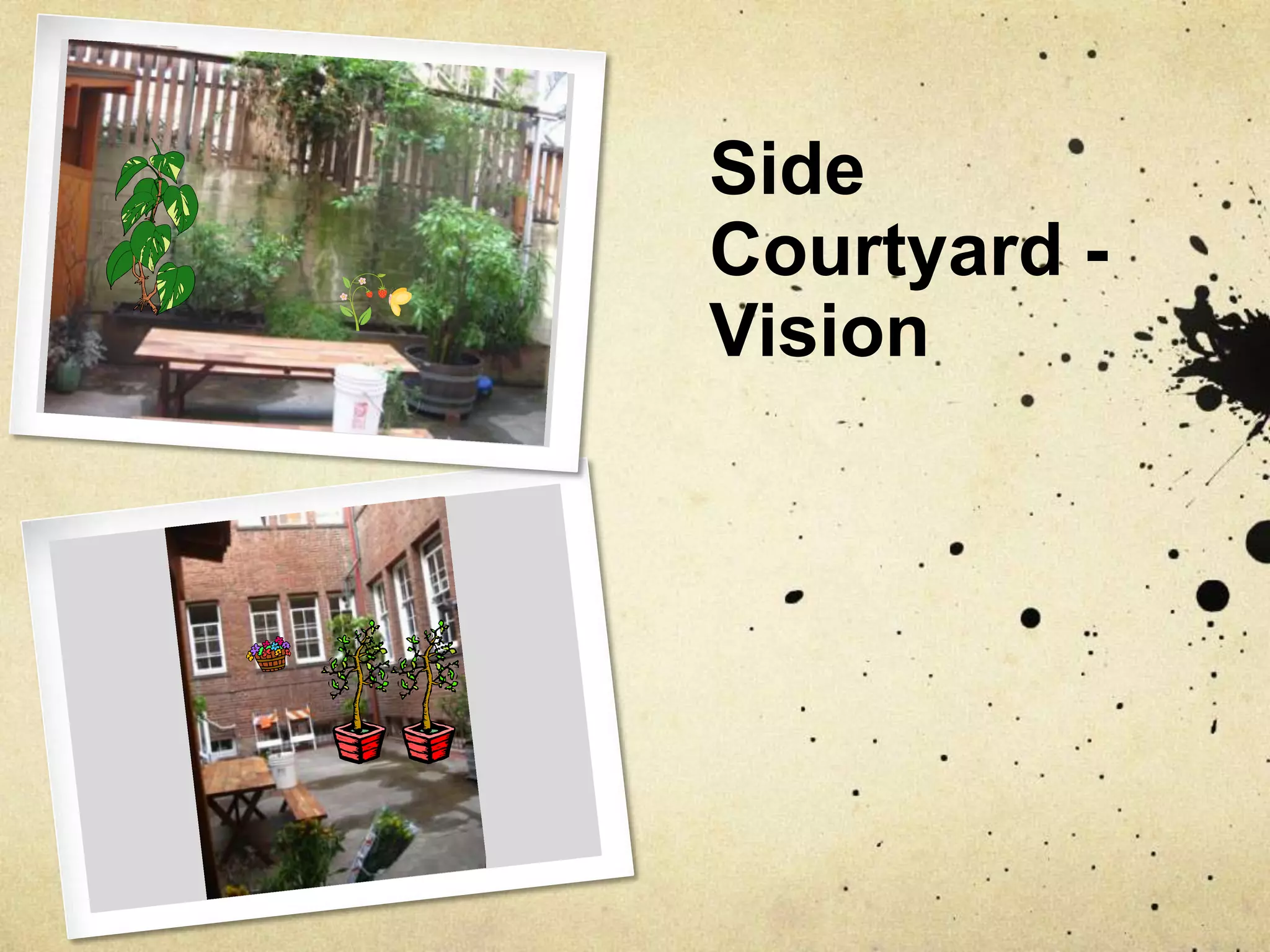 Side Courtyard - Vision