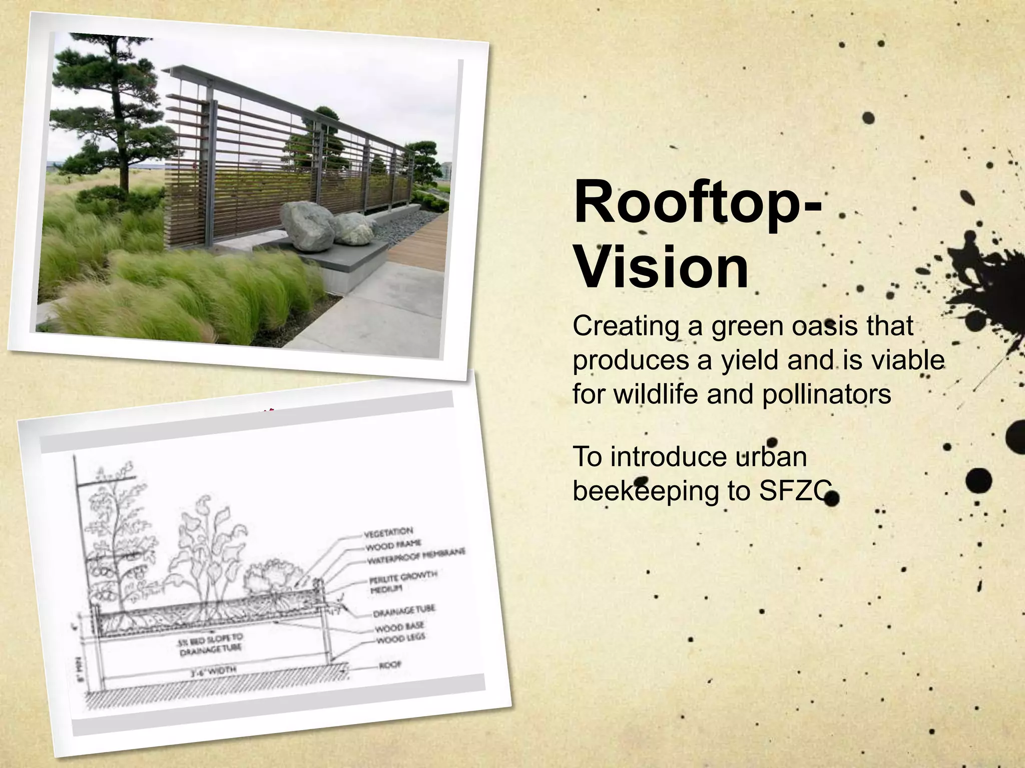Rooftop- VisionCreating a green oasis that produces a yield and is viable for wildlife and pollinatorsTo introduce urban beekeeping to SFZC