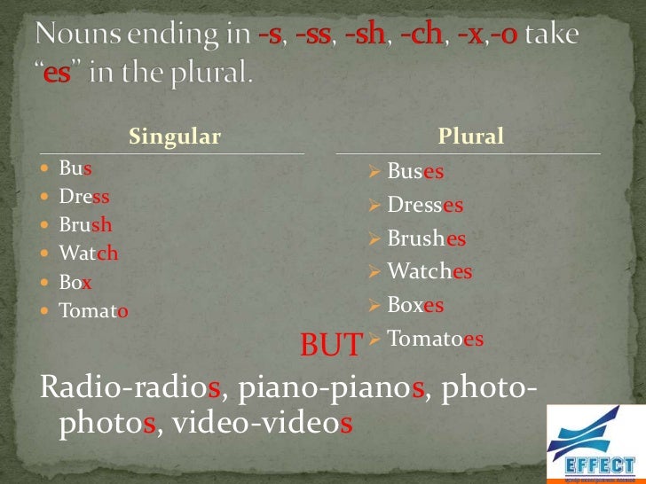 sg and pl forms of the nouns