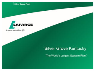 Silver Grove Kentucky ,[object Object],Silver Grove Plant 