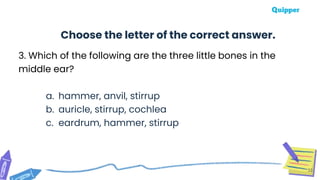 3. Which of the following are the three little bones in the
middle ear?
a. hammer, anvil, stirrup
b. auricle, stirrup, cochlea
c. eardrum, hammer, stirrup
33
Choose the letter of the correct answer.
 
