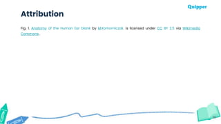 36
Attribution
Fig. 1. Anatomy of the Human Ear blank by M.Komorniczak. is licensed under CC BY 2.5 via Wikimedia
Commons..
 