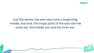 9
Just like stories, the ears also have a beginning,
middle, and end. The major parts of the ears are the
outer ear, the middle ear, and the inner ear.
 