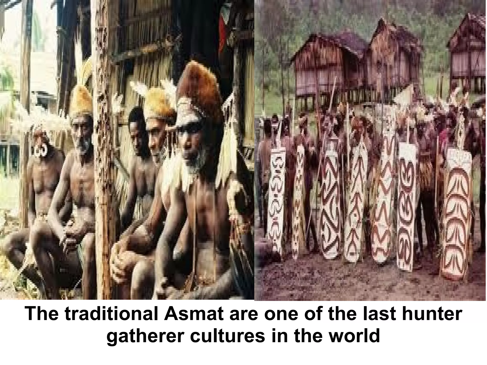 The Asmat Background | PPT