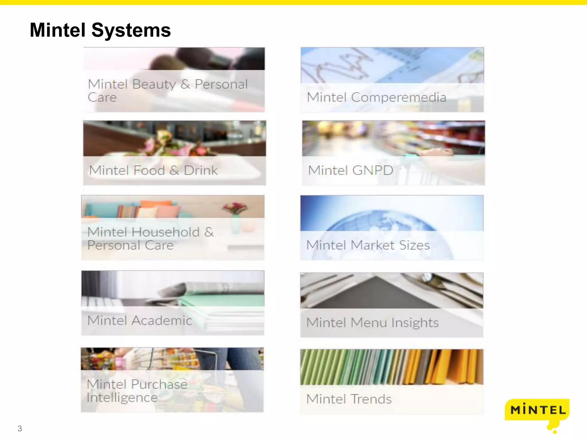 3
Mintel Systems
 