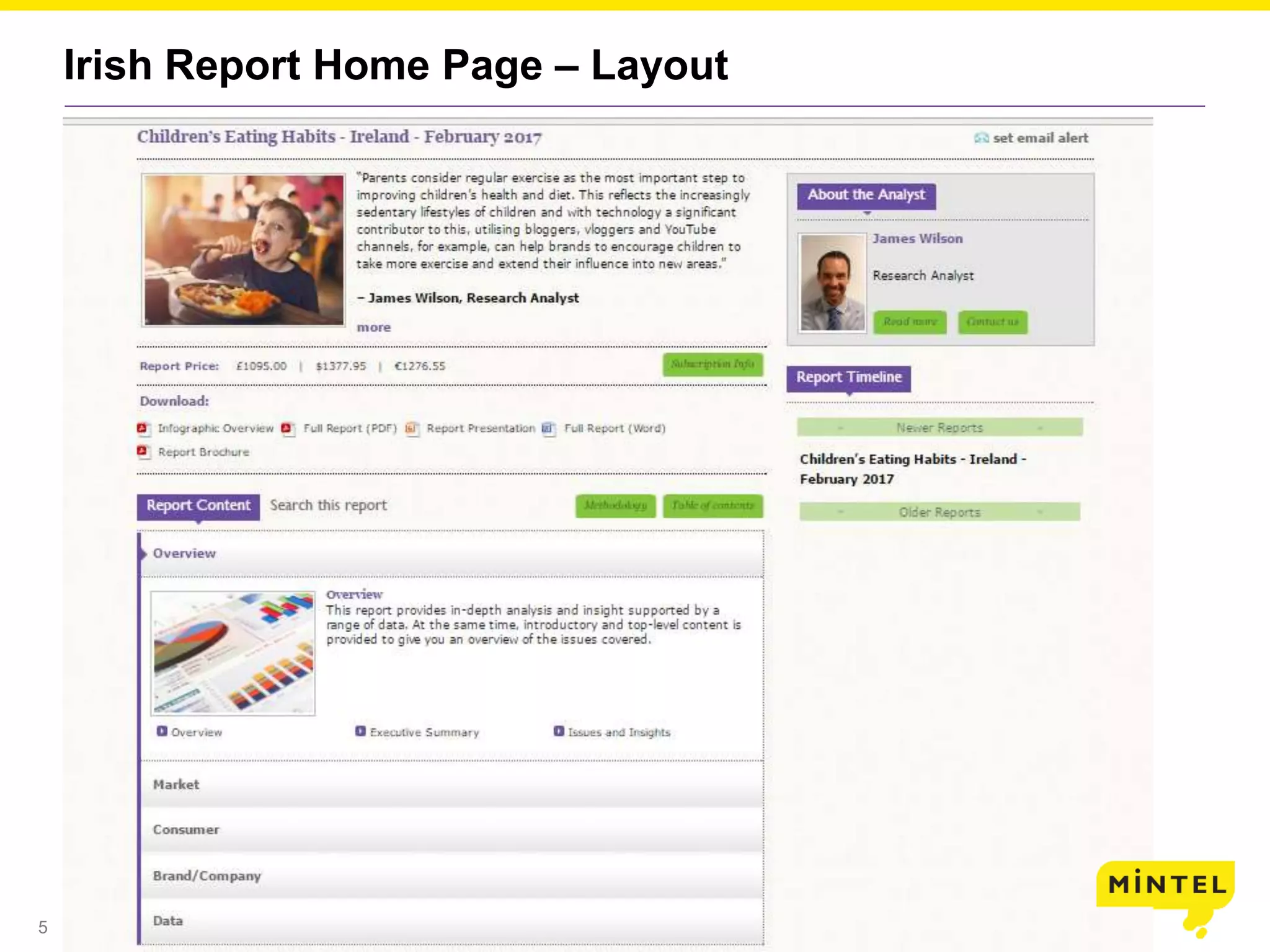 5
Irish Report Home Page – Layout
 