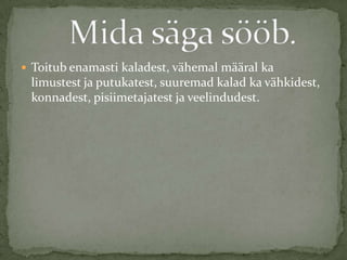  Toitub enamasti kaladest, vähemal määral ka
 limustest ja putukatest, suuremad kalad ka vähkidest,
 konnadest, pisiimetajatest ja veelindudest.
 