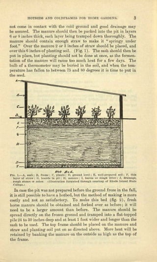 HOTBEDS AND CQLDFRAMES FO'R l'fO'MF. GAilPENS. a
not come i.n contact with the cold ground nnd good drainage may
be assured. The manure should then be packed into the pit in layers
6 OJ' 8 inches thick) each layer being tmmped down thoroughly. The
manure should contain enough straw to make it c< springy under
foot." Over the manure 2 or 3 inches of straw should be placed, and
over this 6 inches of planting soil. (Fig. 1). The sash should then be
put in place) but planting should not be done at once, ns the fermen-
tation of the manure will cause too much heat for n few dnys. The
bulb of It the.rmometer may be buried in the soil, and when the tern-
pemmre has fallen to between 15 lind 80 degrees it is time to put in
the seed.
Ar=========
Ho~ 4...J...
FIG. 1.-A, 8Mh: n. frame: C. plnotll: D, grouna le,·cl; E. wcll.prcp!l-red ""II; I!', lhln
Infer of ~trnw: G, oonrda In I,ll: H, IlliLnIH!: I, Il!llVI18<lr rough llltcr: J, drnlIlIIge,
NU/lh Blon/fl! Qr n~he", (lIlullJrllUc>U furnished through COllrtur ot llhOlle Islnnll !Slat~
College. I
In case the pit was not prepared before the ground from in the fall,
it is still possible to ba ve a hotbed, but the method of making is more
costly and not as sutisfnctoey. To make this bed (fig. 2), fresh
horse manure should be obtained and forked over as before ; it will
need to be (1 larger amount than before. The millime should be
spread directly on the frozen ground and tramped into a flat-topped
pile 24 to 80 inches deep and ot least 1 foot wider end longer than the
sash to be used. The top frame should be placed on the manure and
straw and planting soil put on ns directed above. MOI'C hent will he
retained by bunking tho ruuuure on the outside as high as the top of
the frame.
 