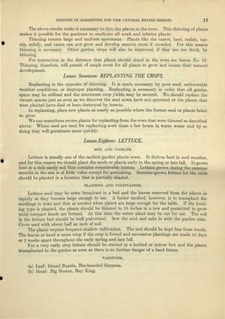 LESSONS IN GARDENING FOR THE CENTRAL STATES REGION. 13
The above results make it necessary to thin the plants in the rows. This thinning of plants
makes it possible for the gardener to eradicate all weak and inferior plants.
Thinning insures large and uniform specimens. Plants like the carrot, beet, radish, tur-
nip, salsify, and onion can not grow and develop smooth roots if crowded. For this reason
thinning is necessary. Other garden crops will also be improved, if they are too thick, by
thinning.
For instruction in the distance that plants should stand in the rows see lesson No. 12.
Thinning, therefore, will permit of ample room for all plants to grow and insure their natural
development.
Lesson Seventeen: REPLANTING THE CROPS.
Replanting is the opposite of thinning. It is made necessary by poor seed, unfavorable
weather conditions, or improper planting. Replanting is necessary in order that all garden
space may be utilized and the maximum crop yields may be secured. We should replant the
vacant spaces just as soon as we discover the seed sown have not sprouted or the plants that
were planted have died or been destroyed by insects.
In replanting, place new plants as nearly as possible where the former seed or plants failed
to grow.
We can sometimes secure plants for replanting from the rows that were thinned as described
above. Where seed are used for replanting soak them a few hours in warm water and by so
doing they will germinate more quickly.
Lesson Eighteen: LETTUCE.
SOIL AND CLIMATE.
Lettuce is usually one of the earliest garden plants sown. It thrives best in cool weather,
and for this reason we should plant the seeds or plants early in the spring or late fall. It grows
best in a rich sandy soil that contains considerable humus. Lettuce grown during the summer
months in the sun is of little value except for garnishing. Summer-grown lettuce for the table
should be planted in a location that is partially shaded.
PLANTING AND CULTIVATION.
Lettuce seed may be sown broadcast in a bed and the leaves removed from the plants as
rapidly as they become large enough to use. A better method, however, is to transplant the
seedlings in rows and thin as needed when plants are large enough for the table. If the head-
ing type is planted, the plants should be thinned to 10 inches in a row and permitted to grow
until compact heads are formed. At this time the entire plant may be cut for use. The soil
in the lettuce bed should be well pulverized. Sow the seed and rake in with the garden rake.
Cover seed with about half an inch of soil.
The plants require frequent shallow cultivation. The bed should be kept free from weeds.
The leaves or head is more crisp if the crop is forced and successive plantings are made 10 days
or 2 weeks apart throughout the early spring and late fall.
For a very early crop lettuce should be started in a hotbed or indoor box and the plants
transplanted to the garden as soon as there is no further danger of a hard freeze.
VARIETIES.
(a) Leaf: Grand Rapids, Blackseeded Simpson.
(b) Head: Big Boston, May King.
 