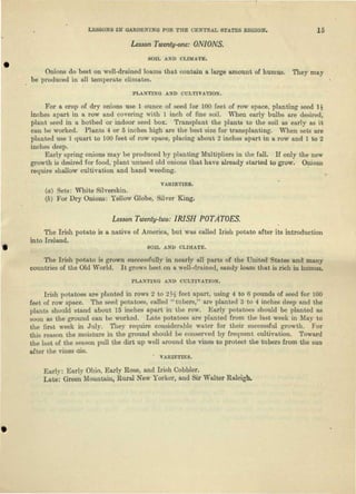 LESSONS IN GARDENING FOR THE CENTRAL STATES REGION. 15
Lesson Twenty-one: ONIONS.
SOIL AND CLIMATE.
Onions do best on well-drained loams that contain a large amount of humus. They may
be produced in all temperate climates.
PLANTING AND CULTIVATION.
For a crop of dry onions use 1 ounce of seed for 100 feet of row space, planting seed 1$
inches apart in a row and covering with 1 inch of fine soil. When early bulbs are desired,
plant seed in a hotbed or indoor seed box. Transplant the plants to the soil as early as it
can be worked. Plants 4 or 5 inches high are the best size for transplanting. When sets are
planted use 1 quart to 100 feet of row space, placing about 2 inches apart in a row and 1 to 2
inches deep.
Early spring onions may be produced by planting Multipliers in the fall. If only the new
growth is desired for food, plant unused old onions that have already started to grow. Onions
require shallow cultivation and hand weeding.
VARIETIES.
(a) Sets: White Silverskin.
(&) For Dry Onions: Yellow Globe, Silver King.
Lesson Twenty-two: IRISH POTATOES.
The Irish potato is a native of America, but was called Irish potato after its introduction
into Ireland.
SOIL AND CLIMATE.
The Irish potato is grown successfully in nearly all parts of the United States and many
countries of the Old World. It grows best on a well-drained, sandy loam that is rich in humus.
PLANTING AND CULTIVATION.
Irish potatoes are planted in rows 2 to 2}4 feet apart, using 4 to 6 pounds of seed for 100
feet of row space. The seed potatoes, called "tubers," are planted 3 to 4 inches deep and the
plants should stand about 15 inches apart in the row. Early potatoes should be planted as
soon as the ground can be worked. Late potatoes are planted from the last week in May to
the first week in July. They require considerable water for their successful growth. For
this reason the moisture in the ground should be conserved by frequent cultivation. Toward
the last of the season pull the dirt up well around the vines to protect the tubers from the sun
after the vines die.
VARIETIES.
Early: Early Ohio, Early Rose, and Irish Cobbler.
Late: Green Mountain, Rural New Yorker, and Sir Walter Raleigh.
 