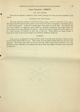 LESSONS IN GARDENING FOR THE CENTRAL STATES REGION. 17
Lesson Twenty-five: CARROTS.
SOIL AND CLIMATE.
The soil and climatic conditions under which parsnips do best are also favorable to the
carrot.
PLANTING AND CULTIVATION.
The seed should be planted one-half inch deep, using 1 ounce to 100 feet of row space.
The plants should stand 2 inches apart in the rows; if too thick, transplant your surplus plants
to other garden space. Cultivation should begin when plant is 1 inch high. By marking the
rows with radishes, as suggested under leaflet on parsnips, cultivation may begin before the
carrot plants have come through the ground. The growth may be hastened by the application
of a small amount of fertilizer on each side of the row. When plants are large enough to
touch each other in the row the larger ones should be pulled for table use.
VARIETIES.
If the carrots are planted in a clay soil that tends to become hard, the short variety known
as the Golden Ball should be used. This variety and the Early Scarlet Horn are best for early
planting. The longer types like the French Forcing, Half Long Scarlet, Oxheart, and Long
Orange are later varieties, and require soil that is deep and mellow for their most successful
development.
 