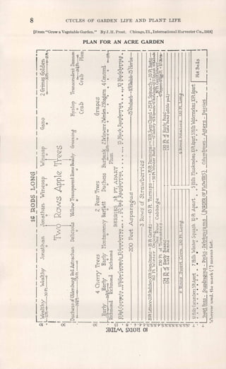 8 CYCLES OF GAR.DEN LIFE AND PLANT LIFE
[From "Grow a Vegetable Garden." By J. H. Prost. Chicago, Ill., International Harvester Co., 1918]
PLAN FOR AN ACRE GARDEN
 