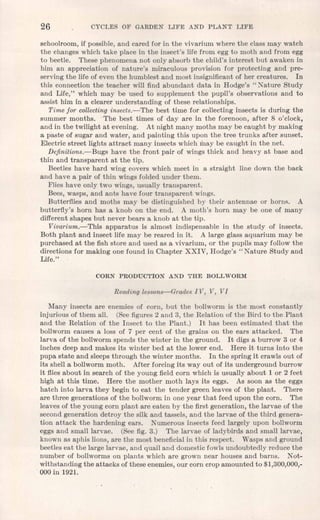 26 CYCLES OF GARDEN LIFE AND PLANT LIFE
schoolroom,if possible, and cared for in the vivarium where the class may watch
the changes which take place in the insect's life from egg to moth and from egg
to beetle. These phenomena not only absorb the child's interest but awaken in
him an appreciation of nature's miraculous provision for protecting and pre-
serving the life of even the humblest and most insignificant of her creatures. In
this connection the teacher will find abundant data in Hodge's" Nature Study
and Life," which may be used to supplement the pupil's observations and to
assist him in a clearer understanding of these relationships.
Time for collectinginsects.-The best time for collecting insects is during the
summer months. "The best times of day are in the forenoon, after 8 o'clock,
and in the twilight at evening. At night many moths may be caught by making
a paste of sugar and water, and painting this upon the tree trunks after sunset.
Electric street lights attract many insects which may be caught in the net.
Dejinitions.-Bugs have the front pair of wings thick and heavy at base and
thin and transparent at the tip.
Beetles have hard wing covers which meet in a straight line down the back
and have a pair of thin wings folded under them.
Flies have only two wings, usually transparent.
Bees, wasps, and ants have four transparent wings.
Butterflies and moths may be distinguished by their antennae or horns. A
butterfly's horn has a knob on the end. A moth's horn may be one of many
different shapes but never bears a knob at the tip.
Vivarium.-This apparatus is almost indispensable in the study of insects.
Both plant and insect life may be reared in it. A large glass aquarium may be
purchased at the fish store and used as a vivarium, or the pupils may follow the
directions for making one found in Chapter XXIV, Hodge's" Nature Study and
Life."
CORN PRODUCTION AND THE BOLLWORM
Reading lessons-Grades IV, V, VI
Many insects are enemies of corn, but the bollworm is the most constantly
injurious of them all. (Seefigures 2 and 3, the Relation of the Bird to the Plant
and the Relation of the Insect to the Plant.) It has been estimated that the
bollworm causes a loss of 7 per cent of the grains on the ears attacked. The
larva of the bollworm spends the winter in the ground. It digs a burrow 3 or 4
inches deep and makes its winter bed at the lower end. Here it turns into the
pupa state and sleeps through the winter months. In the spring it crawls out of
its shell a bollworm moth. After forcing its way out of its underground burrow
it flies about in search of the young.field corn which is usually about 1 or 2 feet
high at this time. Here the mother moth lays its eggs. As soon as the eggs
hatch into larva they begin to eat the tender green leaves of the plant. 'There
are three generations of the bollworm in one year that feed upon the corn. The
leaves of the young corn plant are eaten by the first generation, the larvae of the
second generation detroy the silk and tassels, and the larvae of the third genera-
tion attack the hardening ears. Numerous insects feed largely upon bollworm
eggs and small larvae. (See fig, 3.) The larvae of ladybirds and small larvae,
known as aphis lions, are the most beneficialin this respect. Wasps and ground
beetles eat the large larvae, and quail and domestic fowls undoubtedly reduce the
number of bollworms on plants which are grown near houses and barns. Not-
withstanding the attacks of these enemies, our corn crop amounted to $1,300,000,-
. 000 in 1921.
 