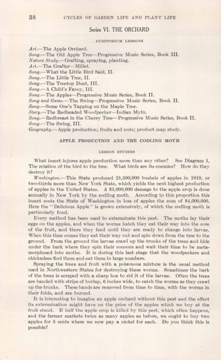 38 CYCLES OF GARDEN LIFE AND PLANT LIFE
Series VI. THE ORCHARD
AUDITORIUM LESSONS
Art.-The Apple Orchard.
Song.-The Old Apple Tree-Progressive Music Series, Book III.
NatureStudy.-Grafting, spraying, planting.
Art.- The Grafter-Millet.
Song.-What the Little Bird Said, II.
Song.-The Little Tree, II.
Song.-The Treetop Duet, III.
Song.-A Child's Fancy, Ill.
Song.-The Apples-Progressive Music Series, Book II.
Songand Game.-The Swing-Progressive Music Series, Book II.
Song.-Some One's Tapping on the Maple Tree.
Story.-The Redheaded Woodpecker-Indian Myth.
Song.-Redbreast in the Cherry Tree-Progressive Music Series, Book II.
Song.-The Swing, III.
Geography.-Apple production; fruits and nuts; product map study.
APPLE PRODUCTION AND THE CODLING MOTH
LESSON STUDIES
What insect injures apple production more than any other? See Diagram 1,
The relation of the bird to the tree. What birds are its enemies? How do they
destroy it?
Washington.-This State produced 21,500,000 bushels of apples in 1919, or
two-thirds more than New York State, which yields the next highest production
of apples in the United States. A $3,000,000damage to the apple crop is done
annually in New York by the codling moth. According to this proportion this
insect costs the State of Washington in loss of apples the sum of $4,000,000.
Here the "Delicious Apple" is grown extensively, of which the codling moth is
particularly fond.
Every method has been used to exterminate this pest. The moths lay their
eggs on the apples, and when the worms hatch they eat their way into the core
of the fruit, and there they feed until they are ready to change into larvae.
When this time comes they eat their way out and spin down from the tree to the
ground. From the ground the larvae crawl up the trunks of the trees and hide
under the bark where they spin their cocoons and wait their time to be meta-
morphosed into moths. It is during this last stage that the woodpeckers and
chickadeesfind them and eat them in large numbers.
Spraying the trees and fruit with a pois-onousmixture is the usual method
used in Northwestern States for destroying these worms. Sometimes the bark
of the trees is scraped with a sharp hoe to rid it of the larvae. Often the trees
are banded with strips of burlap, 6 inches wide, to catch the worms as they crawl
up the trunks. These bands are removed from time to time, with the worms in
their folds, and are burned.
It is interesting to imagine an apple orchard without this pest and the effect
its extermination might have on the price of the apples which we buy at the
fruit stand. If half the apple crop is killed by this pest, which often happens,
and the farmer markets twice as many apples as before, we ought to buy two
apples for 5 cents where we now pay a nickel for each. Do you think this is
possible?
 
