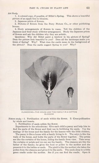 PART II. CYCLES IN PLANT LIFE 63
Art Study.
1. A colored copy, if possible, of Millet's Spring. This shows a beautiful
picture of an apple tree in blossom.
2. Japanese prints of flowers.
3. Pictures of flowers from the Perry Picture Co., or other publishing
houses.
4. Study arrangements of flowers in vases. Tell the children of the
Japanese and their study of flower arrangement. Study the Japanese prints
of flowers and ask the children why they are artistic.
Questions: Why did Millet paint a rainbow in his picture of Spring?
Does the picture look beautiful to you? Does all the landscape make you
think of Spring? Why? What does the castle mean in the background of
the picture? Does the castle suggest Spring to you? Why?'
FLOWERING-THE HOUSE AND THE FAMILY IN A COTTON
BLOSSOM
Nature study.-1. Fertilization of seeds within the flower. 2. Cross pollination
by winds and insects.
1. Fertilization of seeds within the flower.
Experiments in the schoolroom: Give each child a pansy and help him to
find the parts of the flower and their use in fertilizing the seeds. Use the
analogy of the house and the family for the lessons with the little children.
The pansy is like a house with a family living in it. The calyx is like the
walls of the house, and holds the parts of the flower together. The petals
are like the curtains 'Ofthe house, hiding the family from view. Take away
the curtains or petals and we can see the family. The stamens are like the
father of the family; he gives the food or pollen to the mother and she
presents it to the babies or seeds. The pistil is like the mother; she takes the
pollen from the stamens and gives it to the seeds. The seeds sleep in a little
green cradle under the mother. See if you can find the cradle. Open it
 