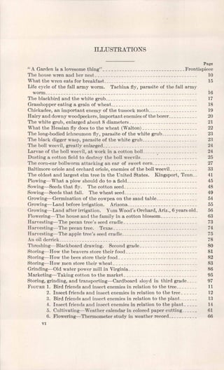 ILLUSTRATIONS
Page
" A Garden is a lovesome thing" Frontispiece
The house wren and her nest , ______________________________________ 10
What the wren eats for breakfast____________________________________ 15
Life cycle of the fall army worm. Tachina fly, parasite of the fall army
worm__________________________________________________________ 16
The blackbird and the white grub___________________________________ 17
Grasshopper eating a grain of wheat__ _______________________________ 18
Chickadee, an important enemy of the tussock moth___________________ 19
Hairy and downy woodpeckers, important enemies of the borer . , _________ 20
The white grub, enlarged about 8 diameters__________________________ 21
What the Hessian fly does to the wheat (Walton) _____________________ 22
The long-bodied ichneumon fly, parasite of the white grub_____ _________ 23
The black digger wasp, parasite of the white grub_____________________ 23
The boll weevil, greatly enlarged; ___________________________________ 24
Larvae of the boll weevil, at work in a cotton boIL____________________ 24
Dusting a cotton field to destroy the boll weevlls , ______________________ 25
The corn-ear bollworm attacking an ear of sweet corn .._ 27
Baltimore oriole and orchard oriole, enemies of the boll weevil . _________ 33
The oldest and largest elm tree in the United States. Kingsport, Tenn . , 41
Plowing-What a plow should do to a field___________________________ 45
Sowing-Seeds that fly. The cotton seed.. ___________________________ 48
Sowing-Seeds that fall. The wheat seed. ___________________________ 49
Growing-Germination of the cowpea on the sand table________________ 54
Growing-Land before irrigation. Arizona___________________________ 55
Growing-Land after irrigation. Yum Wood's Orchard, Ariz., 6 years old , 56
Flowering- The house and the family in a cotton blossom , _____________ 63
Harvesting-The pecan tree's seed cradle____________________________ 73
Harvesting- The pecan tree. Texas ________________________________ 74
Harvesting-The apple tree's seed cradle_____________________________ 75
An oil derrick_ ____________________________________________________ 78
Threshing- Blackboard drawing. Second grade , _____________________ 80
Storing-How the beavers store their f'ood . __________________________ 81
Storing-How the bees store their Iood , __ ______ _ 82
Storing- How men store their wheat ________________________________ 83
Grinding-Old water power mill in Virginia., _________________________ 86
Marketing-Taking cotton to the market____________________________ 95
Storing, grinding, and transporting-Cardboard sloyd in third grade; ___ 97
FIGURE 1. Bird friends and insect enemies in relation to the tree, _______ 11
2. Insect friends and insect enemies in relation to the trce , _____ 12
3. Bird friends and insect enemies in relation to the plant____ ___ 13
4. Insect friends and insect enemies in relation to the plant , ____ 14
5. Cultivating-Weather calendar in colored paper cutting______ 61
6. Flowering-Thermometer study in weather record__ _________ 66
VI
 