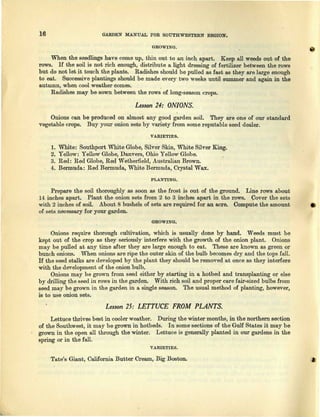 16 GARDEN MANUAL FOR SOUTHWESTERN REGION.
GROWING.
When the seedlings have come up, thin out to an inch apart. Keep all weeds out of the
rows. If the soil is not rich enough, distribute a light dressing of fertilizer between the rows
but do not let it touch the plants. Radishes should be pulled as fast as they are large enough
to eat. Successive plantings should be made every two weeks until summer and again in the
autumn, when cool weather comes.
Radishes may be sown between the rows of long-season crops.
Lesson24: ONIONS.
Onions can be produced on almost any good garden soil. They are one of our standard
vegetable crops. Buy your onion sets by variety from some reputable seed dealer.
VARIETIES.
1. White: Southport White Globe, Silver Skin, White Silver King.
2. Yellow: Yellow Globe, Danvers, Ohio Yellow Globe.
3. Red: Red Globe, Red Wetherfield, Australian Brown.
4. Bermuda: Red Bermuda, White Bermuda, Crystal Wax.
PLANTING.
Prepare the soil thoroughly as soon as the frost is out of the ground. Line rows about
14 inches apart. Plant the onion sets from 2 to 3 inches apart in the rows. Cover the sets
with 2 inches of soil. About 8 bushels of sets are required for an acre. Compute the amount
of sets necessary for your garden.
GROWING.
Onions require thorough cultivation, which is usually done by hand. Weeds must be
kept out of the crop as they seriously interfere with the growth of the onion plant. Onions
may be pulled at any time after they are large enough to eat. These are known as green or
bunch onions. When onions are ripe the outer skin of the bulb becomes dry and the tops fall.
If the seed stalks are developed by the plant they should be removed at once as they interfere
with the development of the onion bulb.
Onions may be grown from seed either by starting in a hotbed and transplanting or else
by drilling the seed in rows in the garden. With rich soil and proper care fair-sized bulbs from
seed may be grown in the garden in a single season. The usual method of planting, however,
is to use onion sets.
Lesson25: LETTUCE FROM PLANTS.
Lettuce thrives best in cooler weather. During the winter months, in the northern section
of the Southwest, it may be grown in hotbeds. In some sections of the Gulf States it may be
grown in the open all through the winter. Lettuce is generally planted in our gardens in the
spring or in the fall.
VARIETIES.
Tate's Giant, California Butter Cream, Big Boston.
 