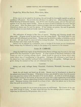 18 GARDEN MANUAL FOR SOUTHWESTERN REGION.
VARIETIES.
Purple Top, White Flat Dutch, White Globe, Milan.
PLANTING.
If the crop is to be raised in the spring, the soil should be thoroughly spaded as early as
conditions will permit. Do not work the soil when it is cold or wet. After spading, work in a
liberal dressing of barnyard manure. Lay off the rows 18 inches apart, and sow the seed one-
quarter of an inch deep rather thickly. About an ounce of seed is sufficient for every 100 feet
of row space. After the plants reach 4 inches in height, thin out to about 6 inches apart. The
thinned-out plants may be used for greens. If late turnips are grown, the seed is generally
sown broadcast on some land previously used for another crop.
GROWING.
The cultivation of turnips is like that of carrots. Weeding and thinning should take
place early. All grass should be kept away from the young plants. The turnip plant is very
hardy and will withstand several frosts. Turnips may be stored in a cellar or buried.in a pit in
the yard. All tops should be removed before storing the plant. The turnip matures in from
60 to 90 days and is then ready for eating.
Onions may be planted as a companion crop to turnips if the latter are not broadcasted.
Early turnips may be followed by beans in the spring or by tomatoes in the summer.
Lesson 28: CABBAGE.
Along the Gulf Coast region of the Southwestern States cabbage may be sown in the open
garden from late September to early January. In other sections of the South, hotbeds or cold
frames are used for starting cabbage plants. Seeds should be planted in frames about eight
weeks before time of transplanting to the garden. Cabbages will withstand a hard freeze if
the plants have been carefully hardened before transferring to the garden. Cabbages are not
grown during the summer as they can not withstand the heat.
VARIETIES.
Spring and early cabbage: Jersey Wakefield, Charleston Wakefield, Succession, Early
Jersey.
PLANTING.
Spade the soil deeply and break up all clods. Manure may be broadcasted or placed in
the opened rows beneath the plant. If the latter is done, care should be taken that the manure
does not come into contact with the roots of the tender plants. In order to avoid the danger,
place a little manure at the bottom of the row and cover with a light application of soil before
the plants are set. Remove plants from hotbed or cold frame and place in rows about 18 inches
apart. Distances between rows should be at least 2 feet. After the plants are in the rows,
draw the earth up around them.
GROWING.
Cabbages are ready for use as soon as the heads are well formed. The interior of the cab-
bage plant should bo white. It takes about 250 days for the cabbage plant to mature. Cab-
bages may be followed by fall potatoes, okra, or corn.
 