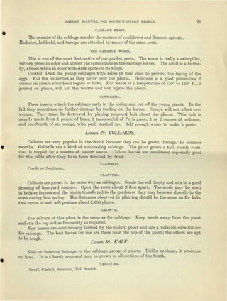 GARDEN MANUAL FOR SOUTHWESTERN REGION. 19
CABBAGE PESTS.
The enemies of the cabbage are also the enemies of cauliflower and Brussels sprouts.
Radishes, kohlrabi, and turnips are attacked by many of the same pests.
THE CABBAGE WORM.
This is one of the most destructive of our garden pests. The worm is really a caterpillar,
velvety green in color and almost the same shade as the cabbage leaves. The adult is a butter-
fly, almost white in color with dark spots on its wings.
Control: Dust the young cabbages with ashes or road dust to prevent the laying of the
eggs. Kill the butterflies as they hover over the plants. Hellebore is a good preventive if
dusted on plants after head begins to form. Hot water at a temperature of 130° to 150° F., if
poured on plants, will kill the worms and not injure the plants.
CUTWORMS.
These insects attack the cabbage early in the spring and cut off the young plants. In the
fall they sometimes do further damage by feeding on the leaves. Sprays will not affect cut-
worms. They must be destroyed by placing poisoned bait about the plants. This bait is
usually made from 1 pound of bran, 1 teaspoonful of Paris green, 1 or 2 ounces of molasses,
and one-fourth of an orange, with peel, mashed up. Add enough water to make a paste.
Lesson 29: COLLARDS.
Collards are very popular in the South because they can be grown through the summer
months. Collards are a kind of nonheading cabbage. The plant grows a tall, sturdy stem,
that is topped by a rosette of tender leaves. Collard leaves are considered especially good
for the table after they have been touched by frost.
VARIETIES.
Creole or Southern.
PLANTING.
Collards are grown in the same way as cabbages. Spade the soil deeply and mix in a good
dressing of barnyard manure. Open the rows about 2 feet apart. The seeds may be sown
in beds or frames and the plants transferred to the garden or they may be sown directly in the
rows during late spring. The distances observed in planting should be the same as for kale.
One ounce of seed will produce about 3,000 plants.
GROWTH.
The culture of this plant is the same as for cabbage. Keep weeds away from the plant
and stir the top soil as frequently as required.
New leaves are continuously formed by the collard plant and are a valuable substitution
for cabbage. The best leaves for use are these near the top of the plant; the others are apt
Lesson 30: KALE.
Kale or borecole belongs to the cabbage group of plants. Unlike cabbage, it produces
no head. It is a hardy crop and may be grown in all sections of the South.
VARIETIES.
Dwarf, Curled, Siberian, Tall Scotch.
 